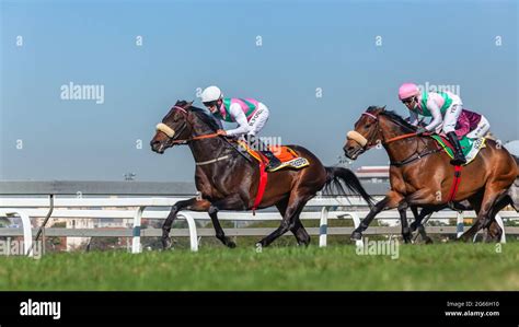 horse racing